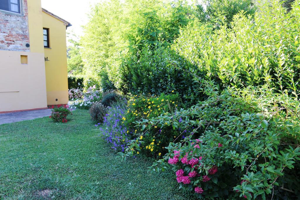 Agriturismo Poggio Al Tesoro Crespina Exterior foto